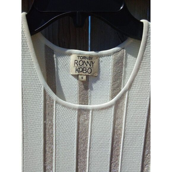 Torn by Ronny Kobo Beth Sleeveless Dress Small Silver Metallic Stripes White - Picture 3 of 5